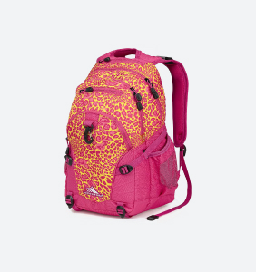 Backpack, School Bag.